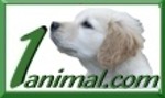 1animal.com le moteur des animaux